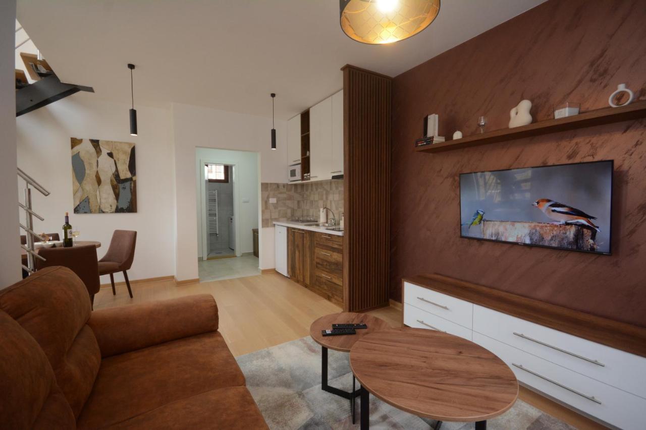Vrnjačka Banja Crown House 아파트 호텔 외부 사진